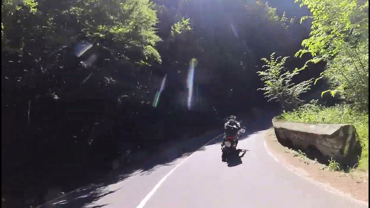 TRANSFAGARASAN 5 THE BEAR FEEDING 26:45