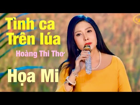 TÌNH CA TRÊN LÚA | St : Hoàng Thi Thơ | Ca Sĩ Hoạ Mi
