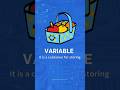 Variables in Javascript