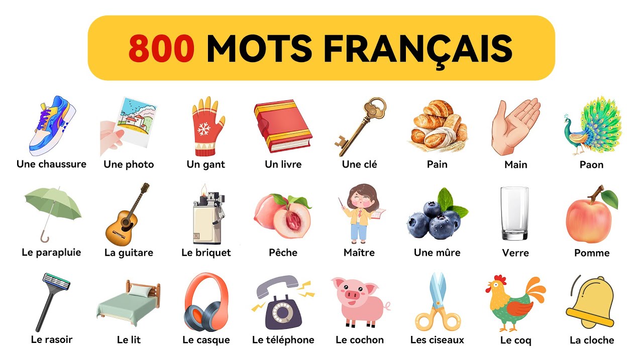 800 Mots Français (Ensemble) | Mot en français – niveau débutant (A1-B1)