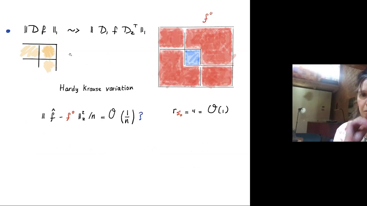 ``Total variation regularization'' - Sara van de Geer (ETHZ) @ MAD+ (29 April 2020)