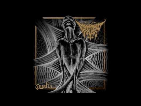 Misanthropic Rage — Misanthropic Rage - Qualia (full album)- 2016