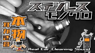 【ASMR】本物のステンレス耳かき音/NEW耳かきモデル使用/モノクロ動画/ Real Ear Cleaning Sound  /TASCAM DR-07MK2/no talking
