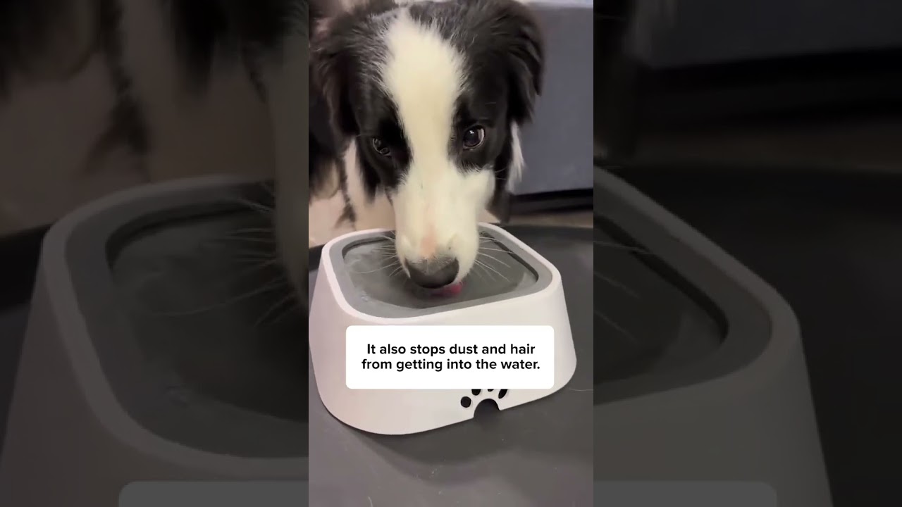 Get this No-Spill Water 