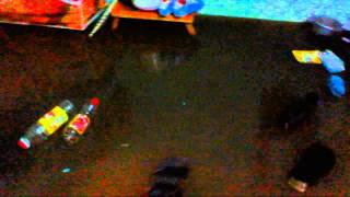 Capture 20121117 1
