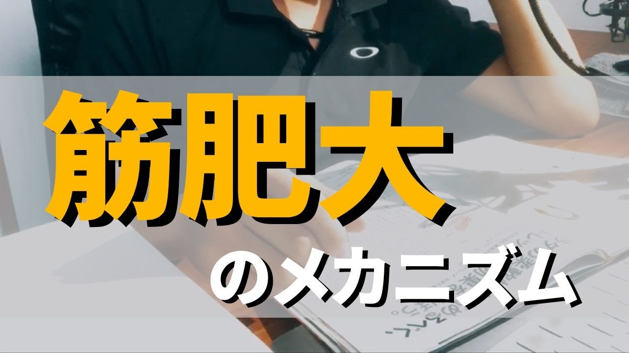 【一緒に勉強】筋肥大のメカニズムを１からすべて理解する（超回復・サテライト細胞etc）