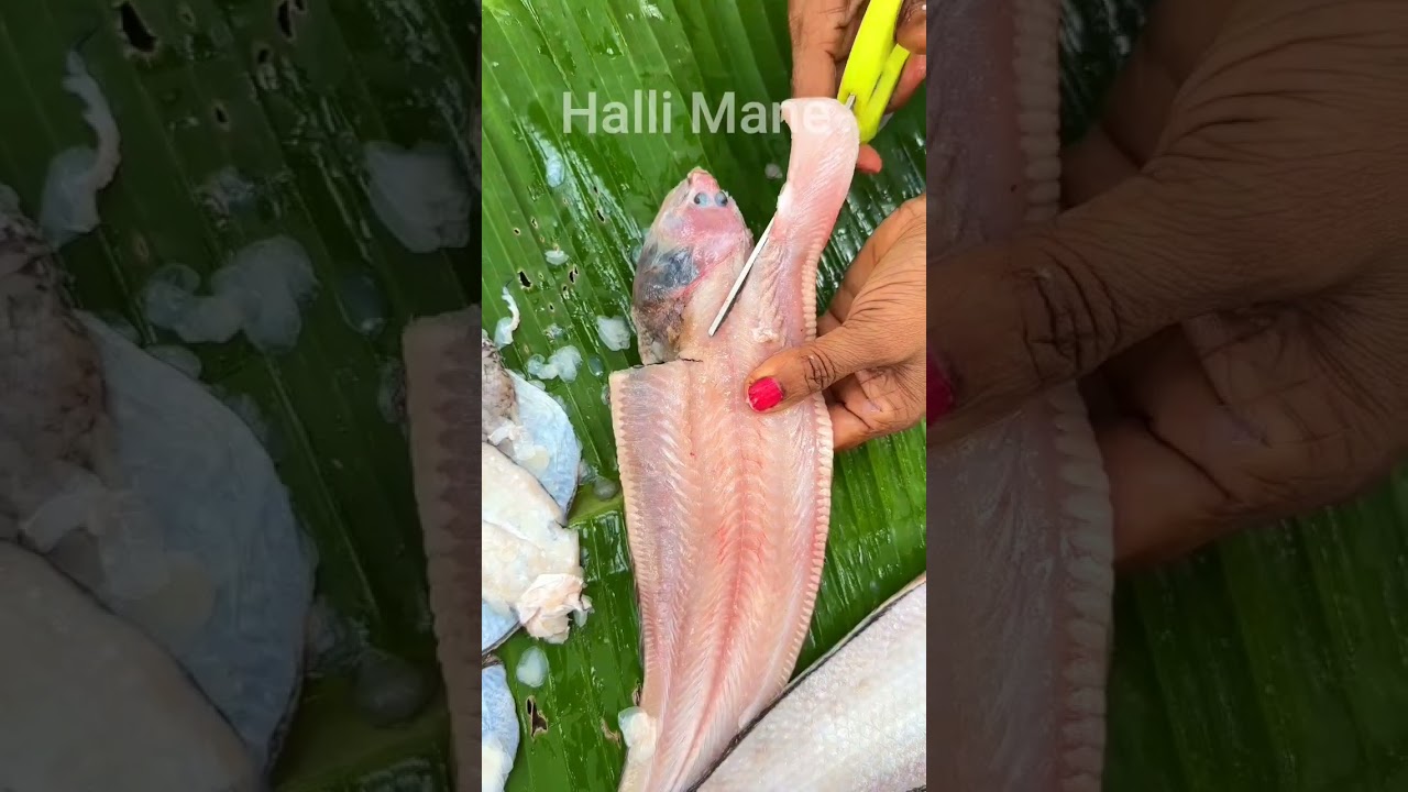 Nang fish cleaning (sole fish) 