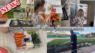 VLOG: ОЛАДЬИ/Уборка в ХОЛОДИЛЬНИКЕ/ГОНИТЕ ТАКИХ/Растим ГАЗОН