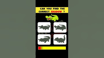 Test Your Eyes : Can You Find The Correct Shadow ? | Eye Test Puzzle #shorts #viral #paheliyan