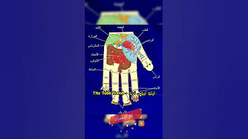 علاج الجسم من خلال اصابع اليد 