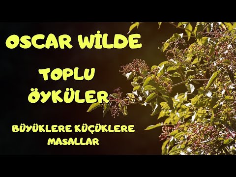 MÜRVER AĞACI - TOPLU ÖYKÜLER 🌟 (Sesli Kitap - Büyüklere Masallar) Pandora Medya naringl