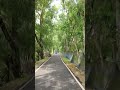 Village #views