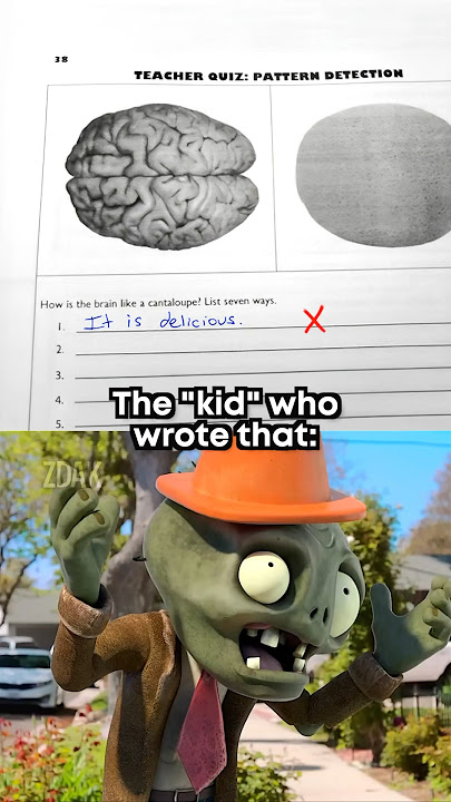 Bro played a bit too much PvZ 💀