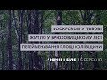 Житло у Брюховицькому лісі, перейменування площі Коліївщини, BookForum | Чорне і Біле за 15 вересня