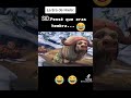 pobre sid~pense que eras hembra