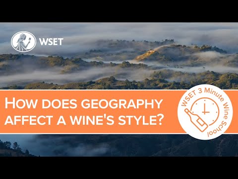 How does geography affect a wine's style?