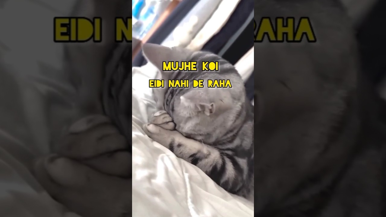 Eid Mubarak eid memes 🤣