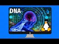 Using #LINUX to analyze the #DNA data