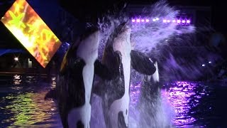 Shamu's Celebration: Light Up the Night at SeaWorld San Diego 9316