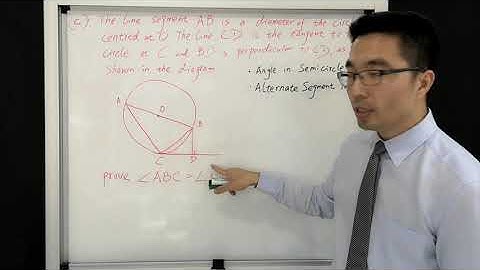 2019 HSC Mathematics Extension 1 Past Paper Question 11