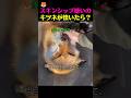 #猫好きさんと繋がりたい キツネの魅力に沼ったら最後🦊❤ 180度変わったビフォーアフター
