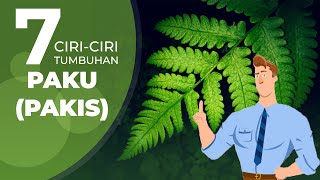 7 Ciri-Ciri Tumbuhan Paku (Pteridophyta)