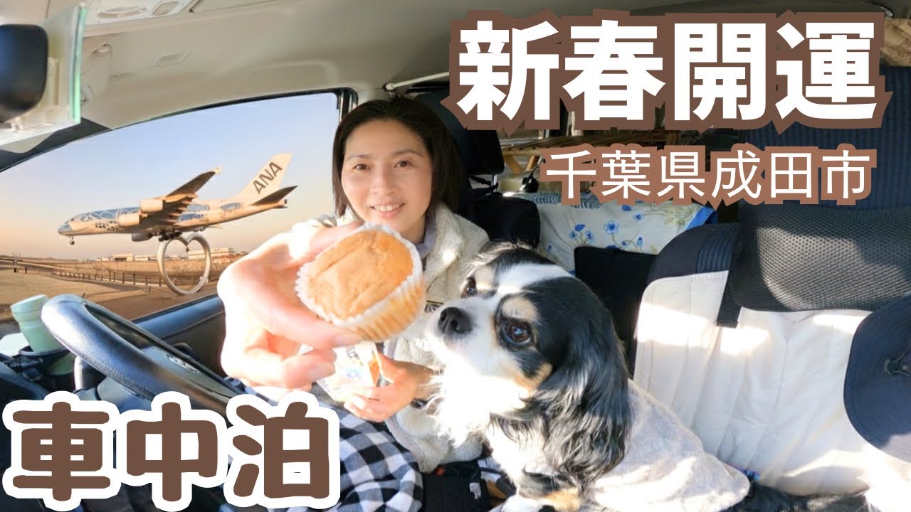 その土地の名物を車内で味わう静かな夜。開運スポットで車中泊する50代看護師と犬1匹。新春は空高く運気上昇！千葉県成田市。成田山新勝寺/成田ゆめ牧場/ひこうきの丘/成田空港温泉空の湯