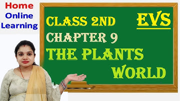 Class 2 EVS Chapter 9 The Plant world||The World Of Plants | Educational Videos For Kids || Class 2