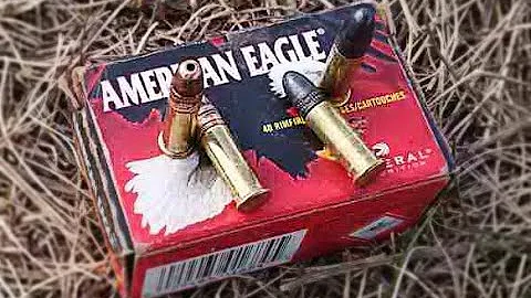 Эффективность 22LR.  Охота с мелкашкой - не всё так просто..