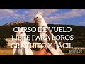 COMO HACER VUELO LIBRE CON LOROS GRATIS!!!!!! (2a Parte)