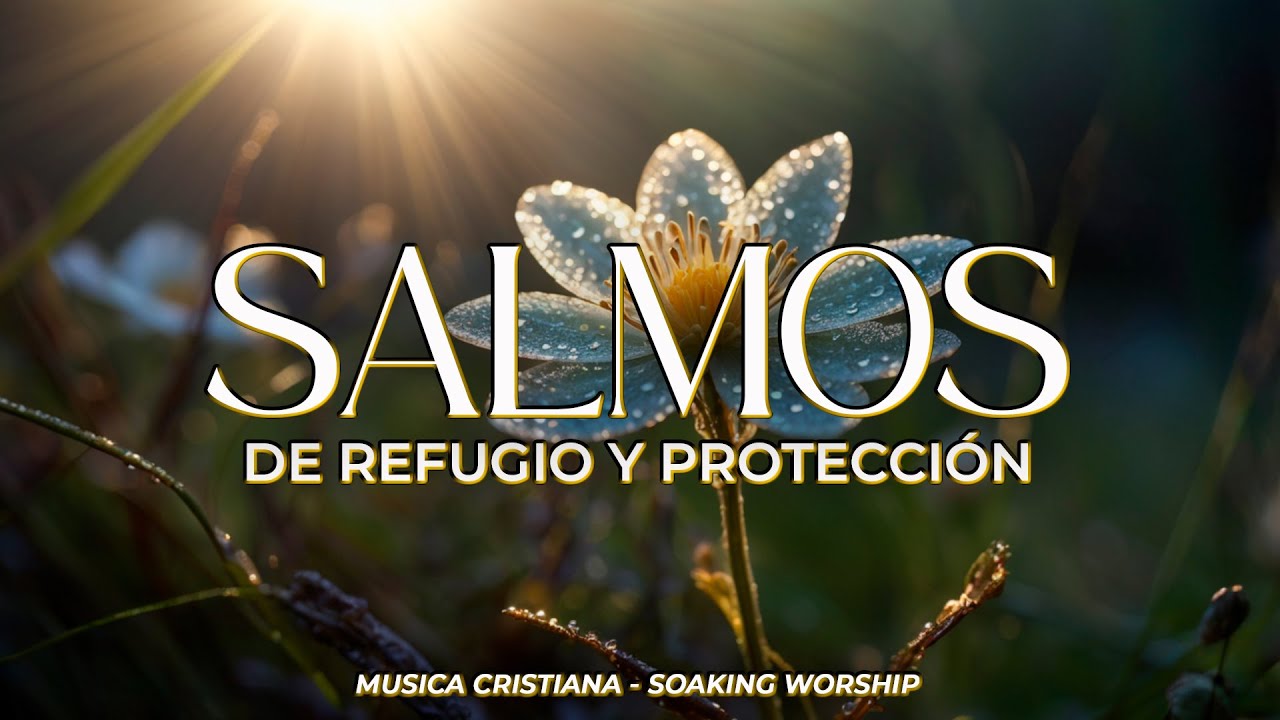 SALMOS CANTADOS 🌙 | Para Descansar en Dios 🕊️ | Música Cristiana de Paz ...