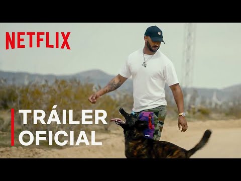 Video: Jas Leverette De Netflix Habla Sobre Lo Que Le Han Enseñado Los Perros