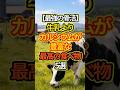 【最強の骨活】牛乳よりカルシウムが豊富な最高の食べ物5選 #健康 #予防医学 #豆知識 #栄養 #shorts #骨粗鬆症