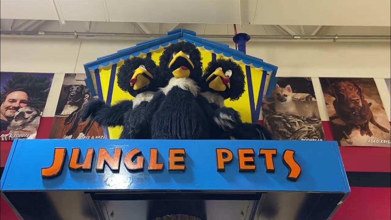 Jungle Jim’s International Market Chuck E Cheese Warblettes