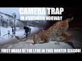 CAMERA TRAP // Camtraptions // FIRST lynx image this winter season