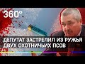 Кировский депутат застрелил собак, просто так, без повода