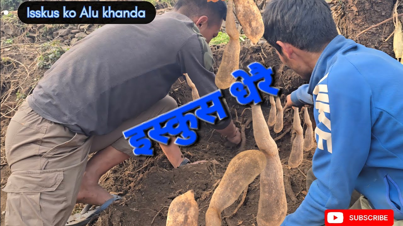  म र मेरो भाइ बिकेश  इस्कुस खन्ने काम गर्दै😱 #reels #funnyDailvlog  #comedyvideos #video #vlog