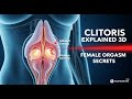 :👉 Clitoris Explained in 3D: Anatomy, Function &amp; Hidden Science | Female Orgasm Facts 