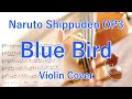 “Blue Bird” Naruto Shippuden OP3 (Violin Cover)