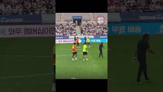 로메로와 손흥민 싸움에 개입하는 관중