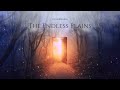 Ethereal Fantasy Music Of A World Faraway ✦ 528 hz ✦ The Endless Plains