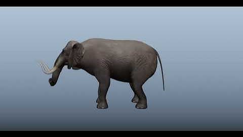 Elephant 3D model