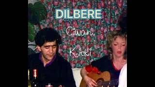 Dilbere Resimi