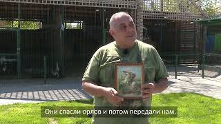 Карен Даллакян призвал прийти к мощам Георгия Победоносца