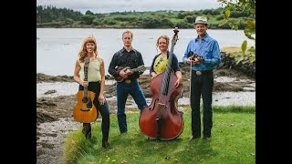Foghorn Stringband ( Blue Grass)~ Reubens Train 🎵👍🎸