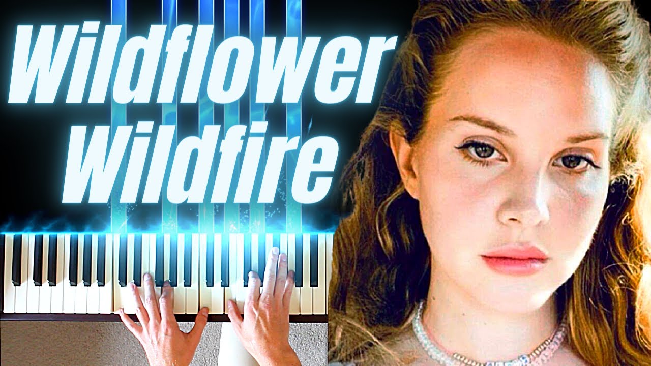 Wildflower Wildfire by Lana Del Rey Piano Cover YouTube