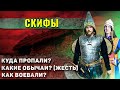 Как жили скифы?