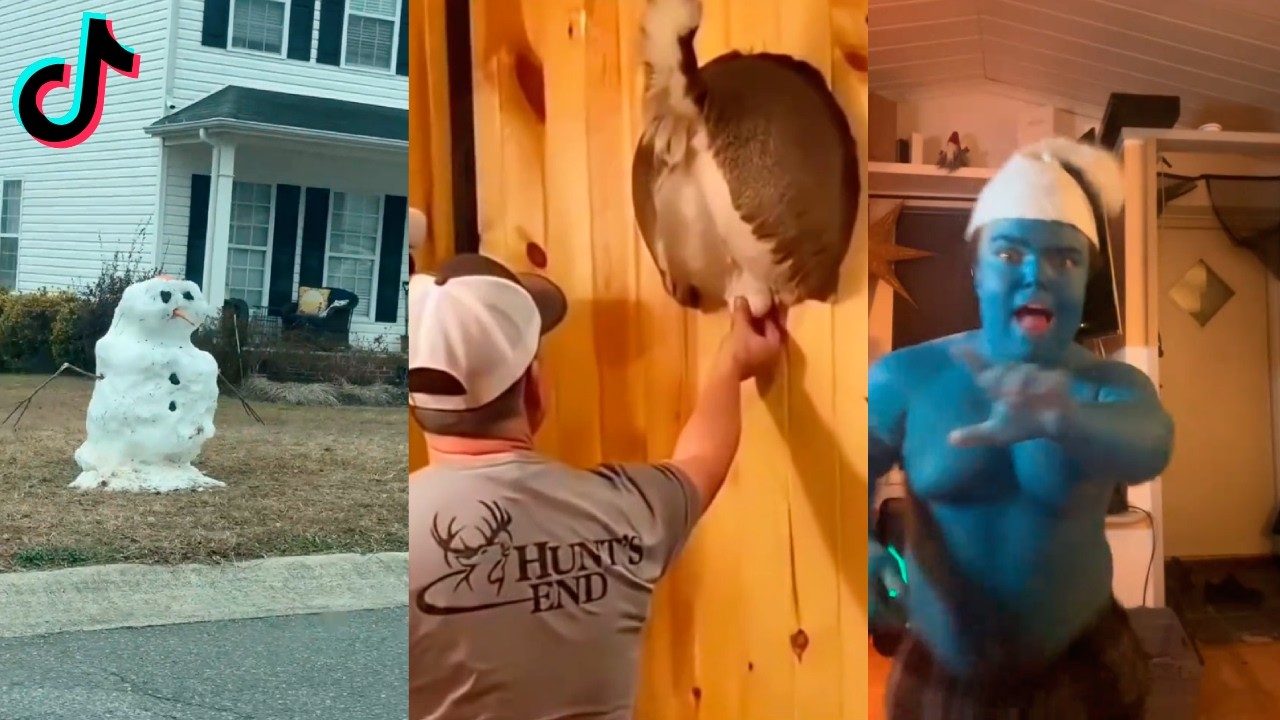 Random videos I watch at 2 a.m. #11