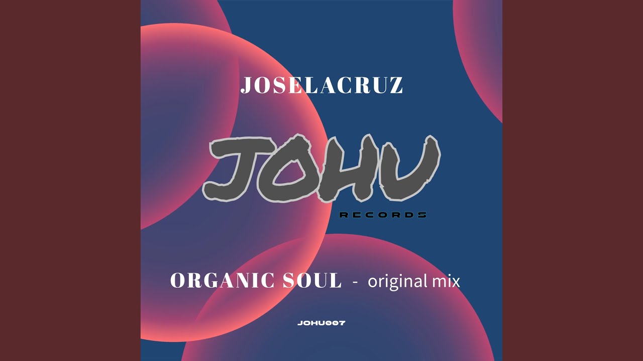 organic soul (original mix)