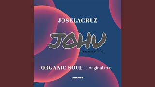 organic soul (original mix)